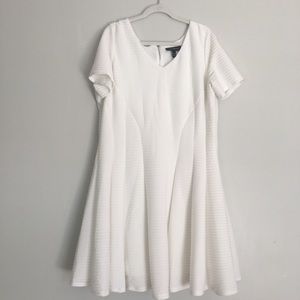 White Lane Bryant Swing Dress